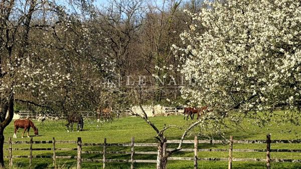 Propriété de 25 hectares avec château du XIXe siècle et dépendances