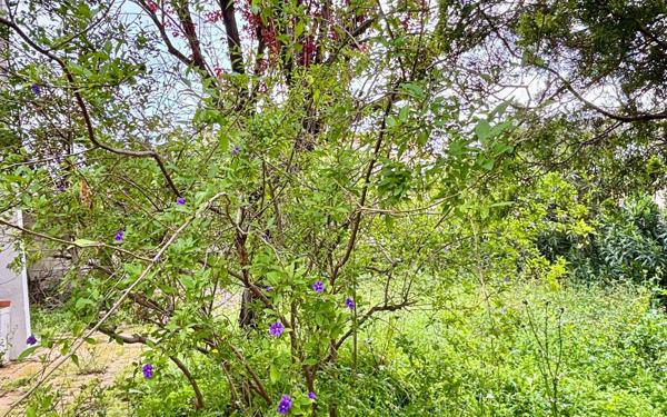 Maison à vendre    8 pièces •  Balaruc-le-Vieux