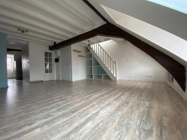 Magnifique Duplex de Charme - Hyper Centre