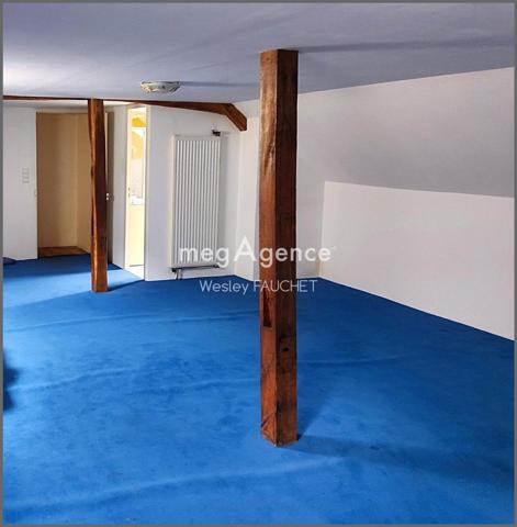 Maison à BUZANCAIS, 36500 - 5 pièces 254m²