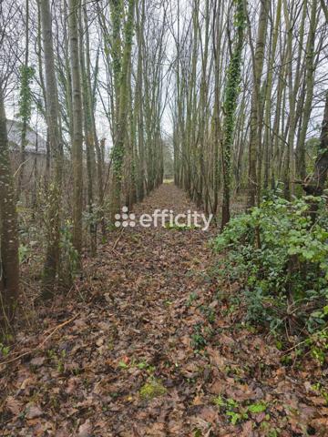 Terrain - 485 m²