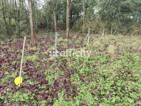 Terrain - 485 m²