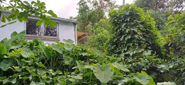 Saint-Denis (97400) Grande case F6 Tomy de 170 m² avec piscine sur 1464 m² de terrain arboré