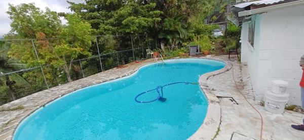 Saint-Denis (97400) Grande case F6 Tomy de 170 m² avec piscine sur 1464 m² de terrain arboré