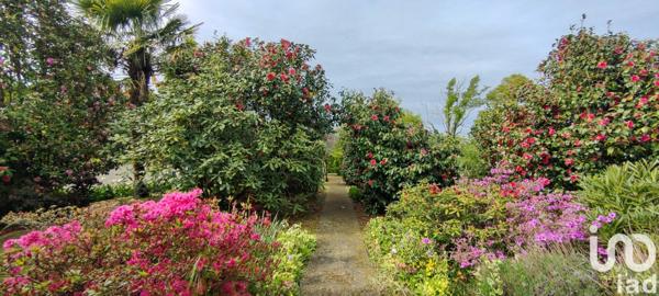 Maison 4 pièces de 103 m² à Saint-Fulgent (85250)