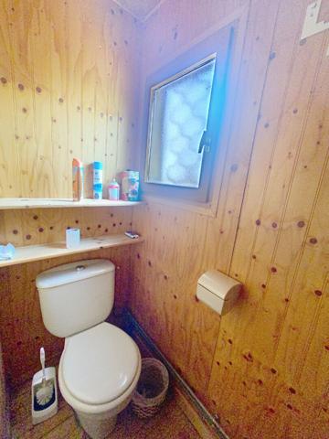 CRAPONNE SUR ARZON Deux Chalets en Mélèze sur plus de 1000 m2 de terrain