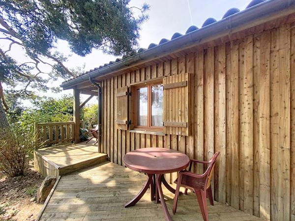 CRAPONNE SUR ARZON Deux Chalets en Mélèze sur plus de 1000 m2 de terrain