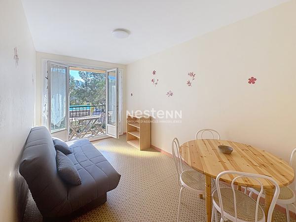 Appartement Argeles Sur Mer 2 pièce(s) 30 m2 À 100m de la plage