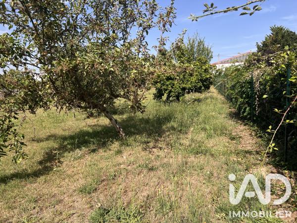 Terrain à vendre 2 136 m² Naintré