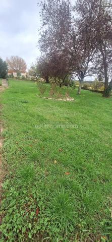 Maison 100m2 à vendre 5 pièces CHAUVIGNY (86)