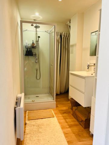 A LOUER APPARTEMENT  MEUBLE  EN PLEIN CENTRE VILLE DE ST QUENTIN 02100
