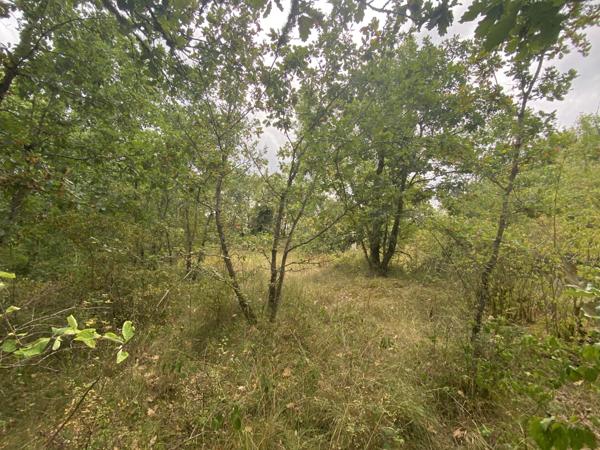 Dondas (47470) Dondas - Terrain avec pigeonnier et 3 hectares