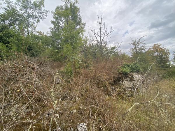 Dondas (47470) Dondas - Terrain avec pigeonnier et 3 hectares