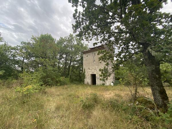 Dondas (47470) Dondas - Terrain avec pigeonnier et 3 hectares