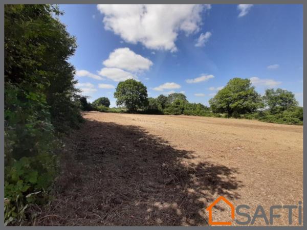 Terrain constructible