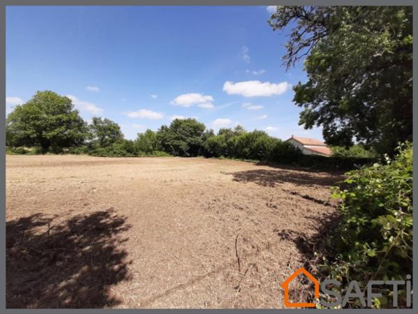 Terrain constructible