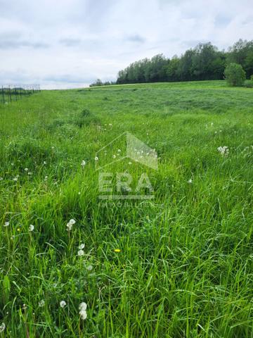 Terrain  à bâtir - Beaurainville 1268 m²