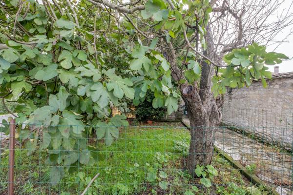 Maison à vendre 4 pièces LA JARRIE (17)