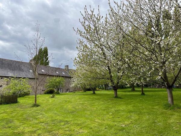 Vente Maison 585 m2 à Dinan