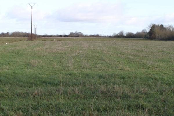 Dpt Vienne (86), à vendre PLEUMARTIN terrain