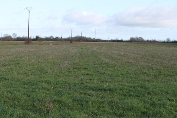 Dpt Vienne (86), à vendre PLEUMARTIN terrain