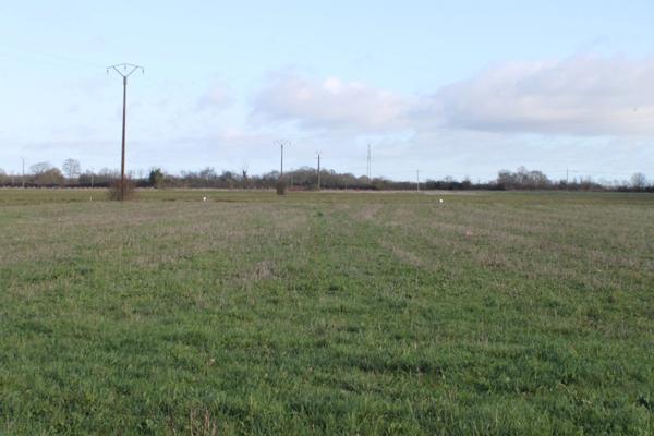 Dpt Vienne (86), à vendre PLEUMARTIN terrain