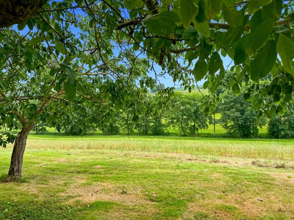 Propriete à vendre - 252 m2 - 44 hectares avec lac - BASSOUES (32)