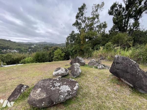 ST DENIS LA MONTAGNE TERRAIN A BATIR 2645m²