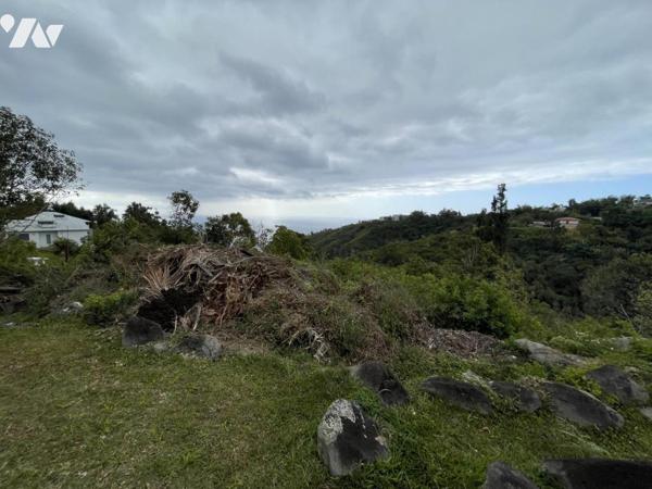 ST DENIS LA MONTAGNE TERRAIN A BATIR 2645m²