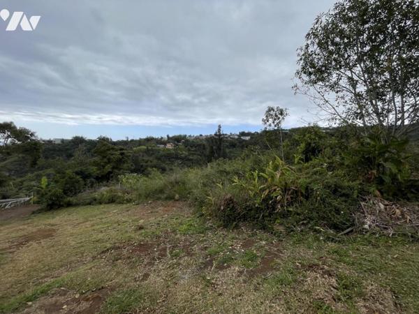 ST DENIS LA MONTAGNE TERRAIN A BATIR 2645m²