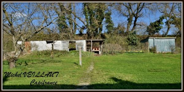 Maison à vendre 6 pièces TOULON SUR ALLIER (03), 2 chambres, puits, terrain 1721 m²