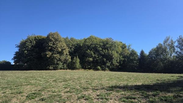 Terrain à vendre 29 800 € Saint-Jal 8315 m² DPE