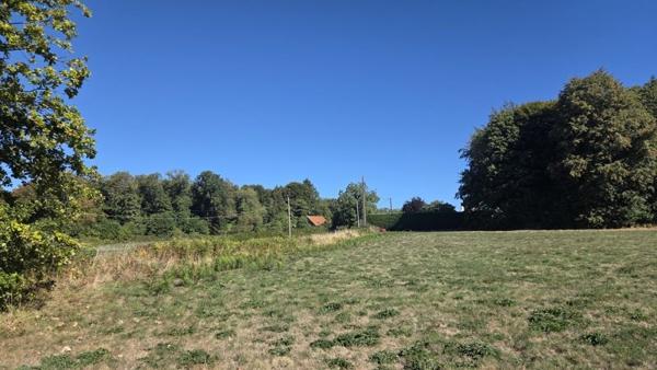Terrain à vendre 29 800 € Saint-Jal 8315 m² DPE