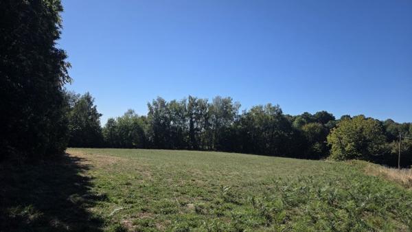 Terrain à vendre 29 800 € Saint-Jal 8315 m² DPE