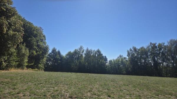 Terrain à vendre 29 800 € Saint-Jal 8315 m² DPE