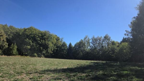 Terrain à vendre 29 800 € Saint-Jal 8315 m² DPE