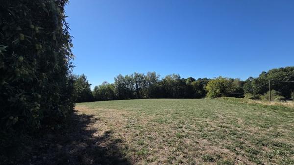 Terrain à vendre 29 800 € Saint-Jal 8315 m² DPE
