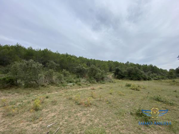 Havre de paix boisés,  proche Montpellier