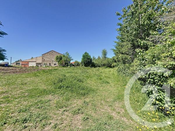 Terrain à vendre  1054 m2 STE SIGOLENE - 43