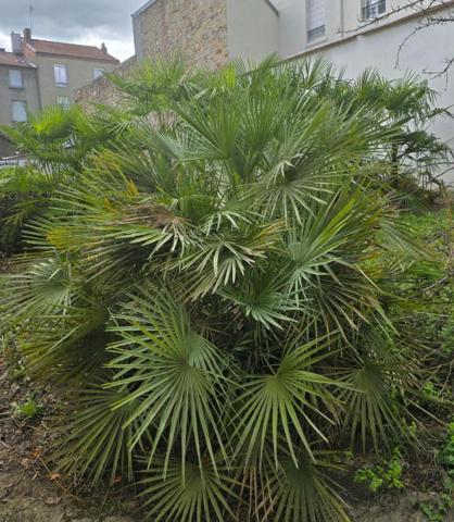 Appartement Vichy 2 pièce(s) 47.32 m2