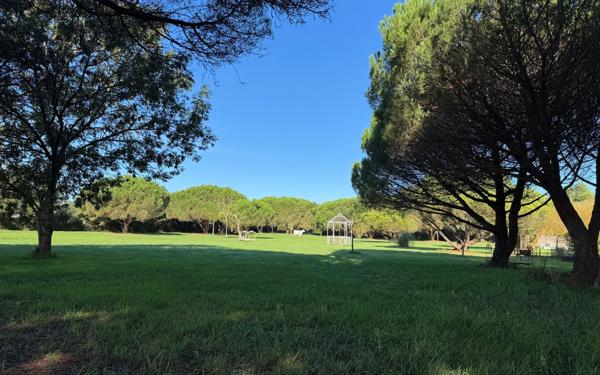 Maison à vendre    8 pièces •  Saint-Pierre-d'Oléron