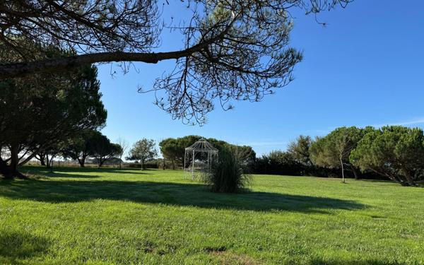 Maison à vendre    8 pièces •  Saint-Pierre-d'Oléron