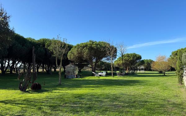 Maison à vendre    8 pièces •  Saint-Pierre-d'Oléron