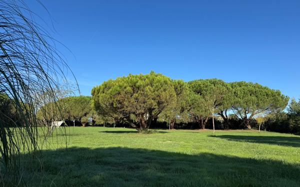 Maison à vendre    8 pièces •  Saint-Pierre-d'Oléron