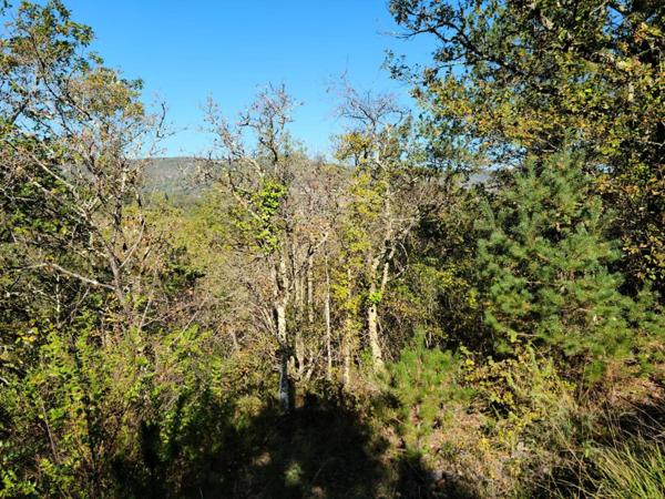 Terrain boisé et viabilisé avec tout à l'égout