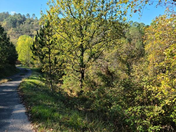 Terrain boisé et viabilisé avec tout à l'égout