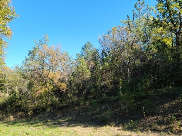 Terrain boisé et viabilisé avec tout à l'égout