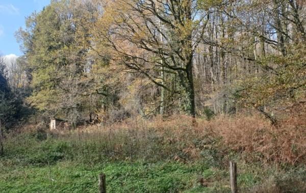 Vente Maison Chateauneuf-la-foret   