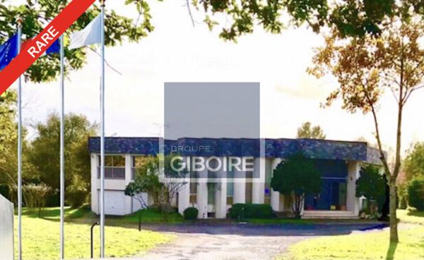 Local d'activites 538 m² à vendre ANGERS (réf : 49.017398)