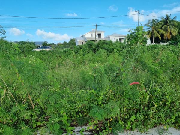 Saint-François (97118) TERRAIN PLAT, VIABILISE, BORNE DANS LE LOTISSEMENT